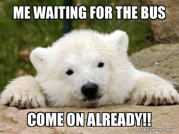 Meme: bear waiting for the bus